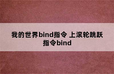 我的世界bind指令 上滚轮跳跃指令bind